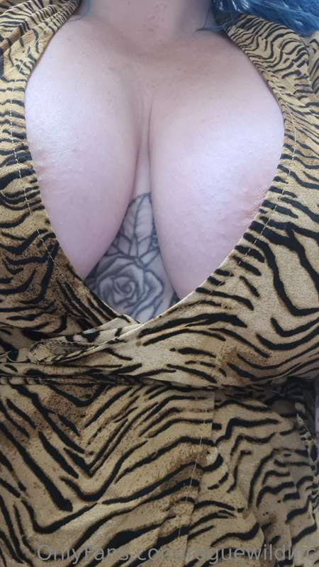 Where are my big boob lovers at?