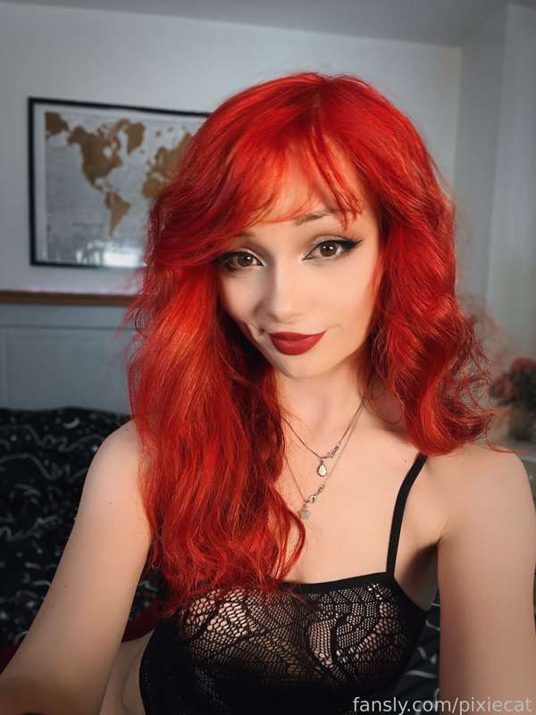 pixiecat image #10