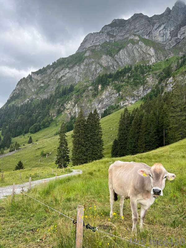 Beauty of Switzerland ☺️🫣🤭