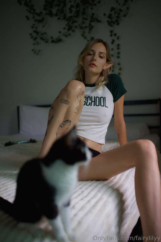 fairylilyy
