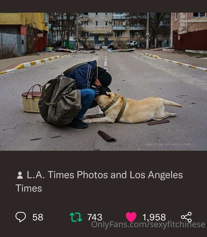 media