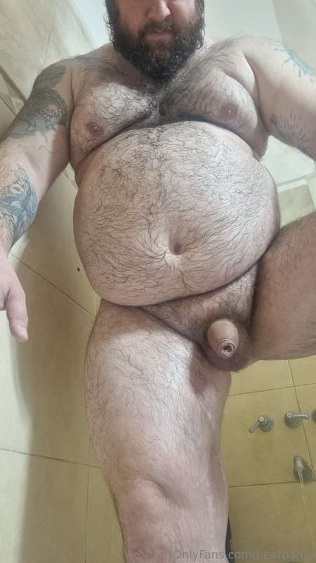 bearpamp