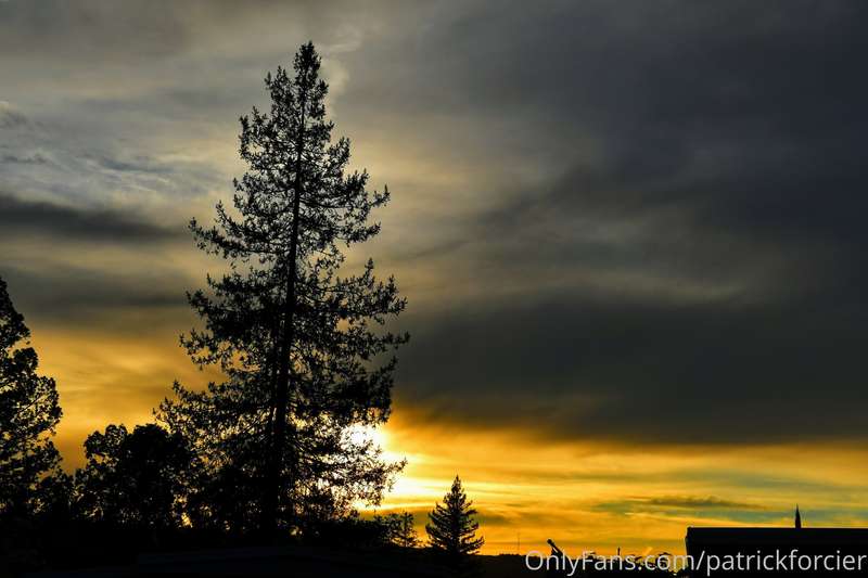 patrickforcier image #23