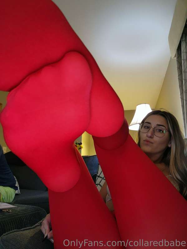 collaredbabe image #0