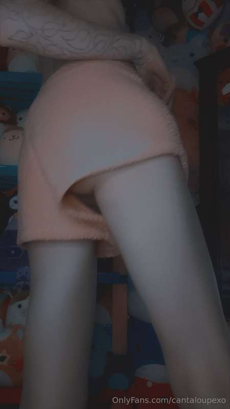 cantaloupexo