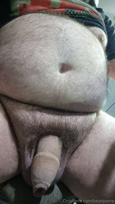 bearpamp