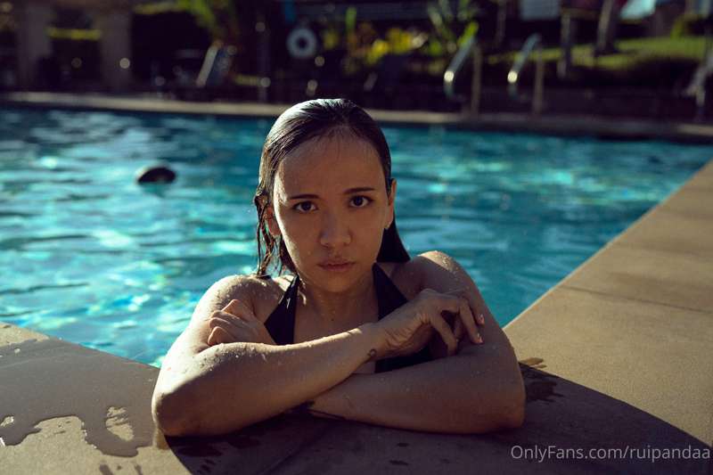 ruipandaa