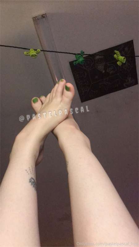 the feet 🦶🏻 | the face 😻