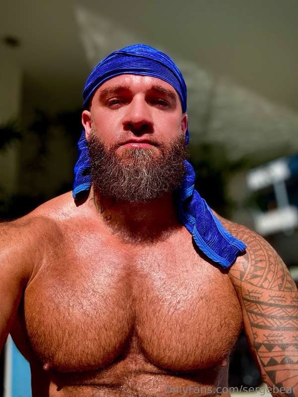 sergebear