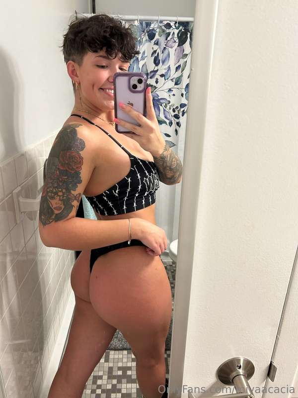 miyaacacia