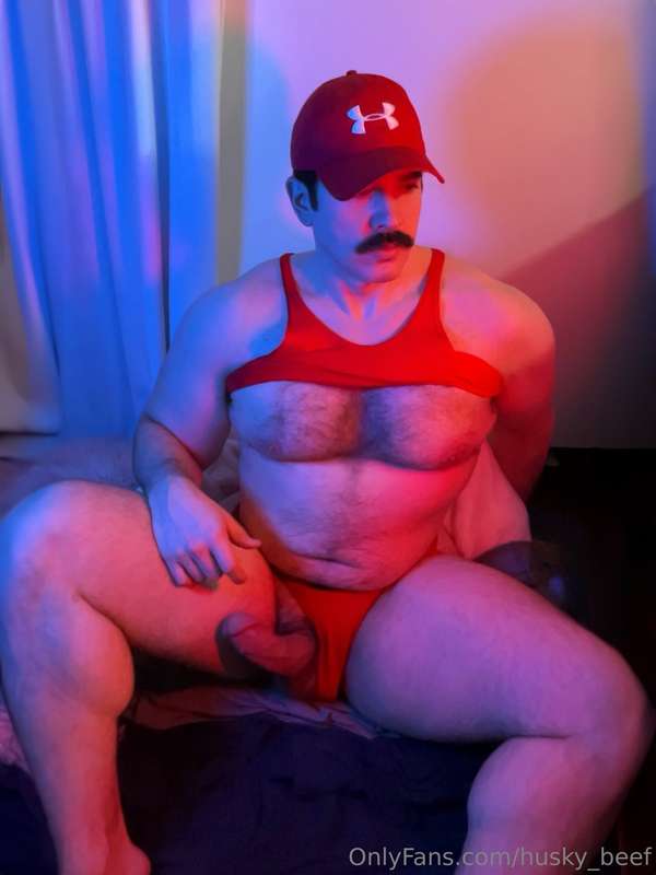 husky_beef
