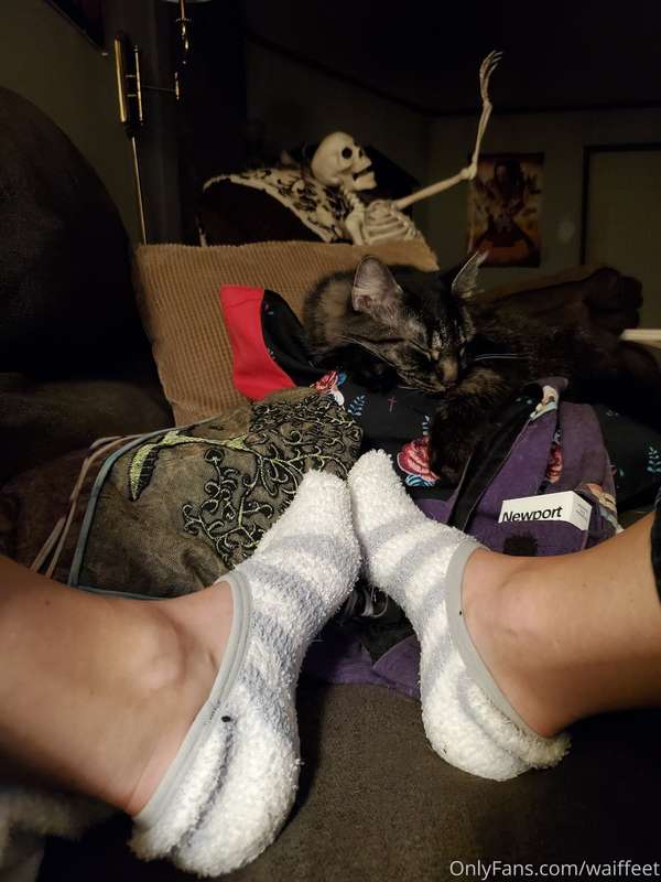 media
