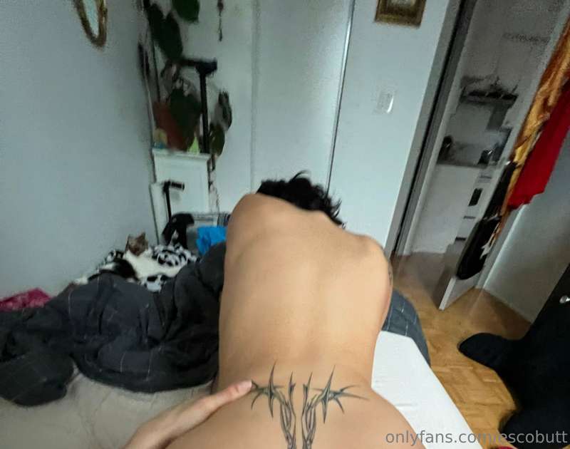 peek a boooooo