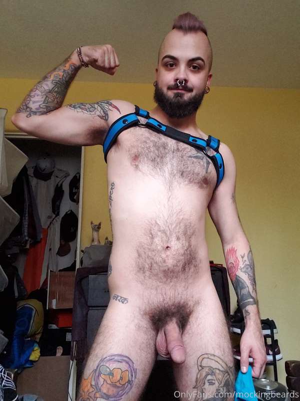 Pubes are in full swing again.