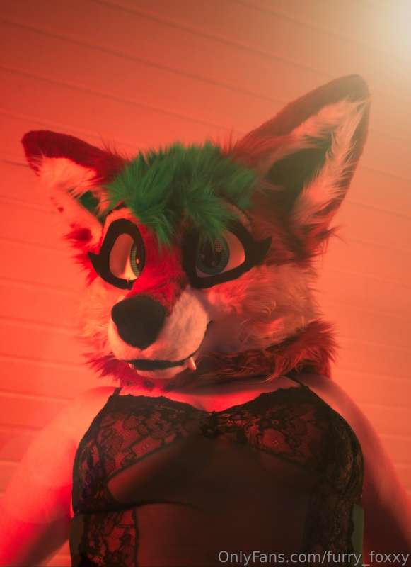 furry_foxxy