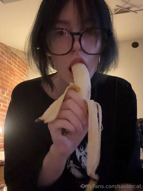 saviorcat