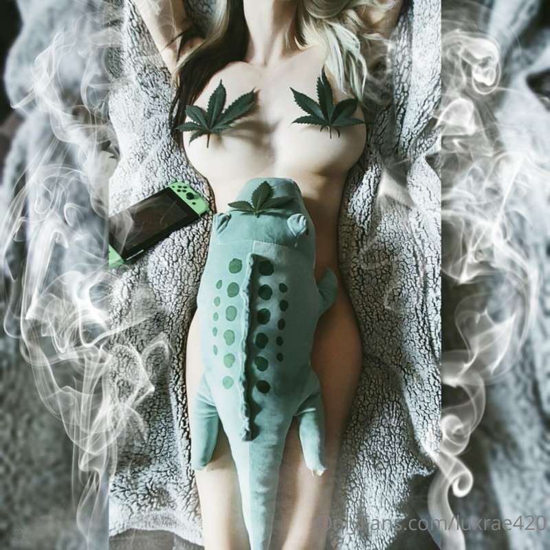 🔥🌿☁️🐊💚