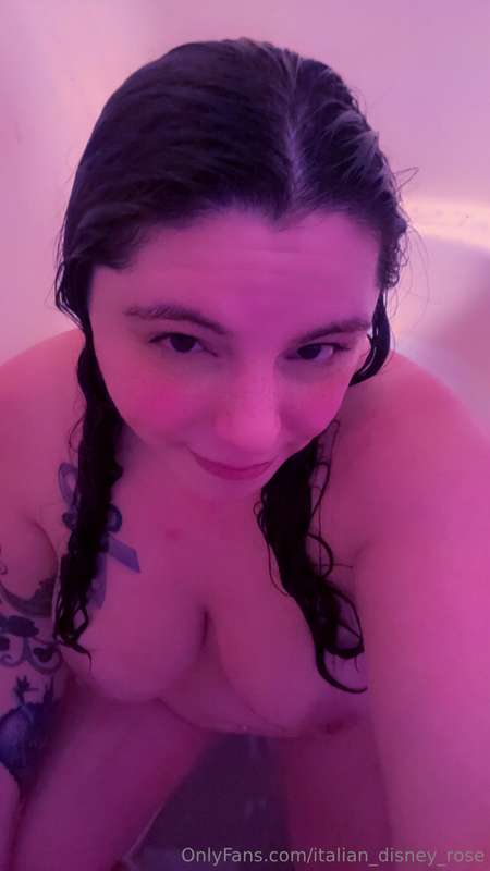 italian_disney_rose