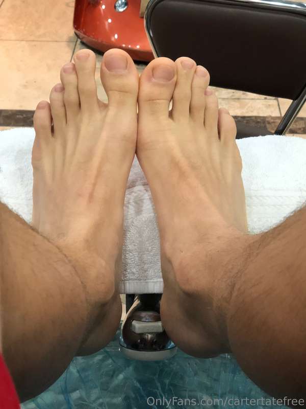 Freshly pampered and ready to be admired… but do they look b..