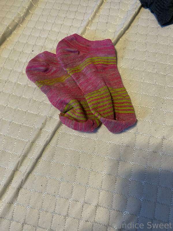 Who wants me to get these sock smelly for you to sniff? Any ..