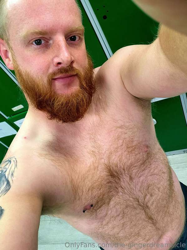 the-gingerdreamsicle