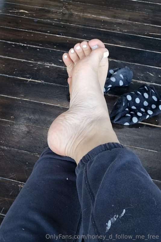 honey_d_follow_me_free