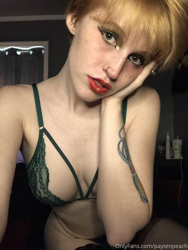 gingerkitty47 image #0