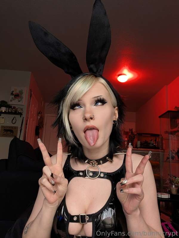 bunnicrypt image #10