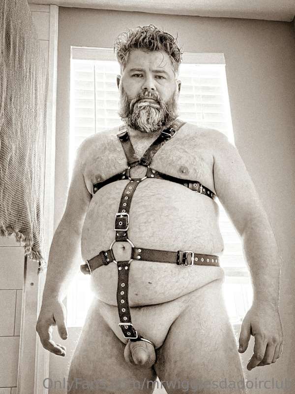 Ok, last couple from this round of harness pics. (Although I..