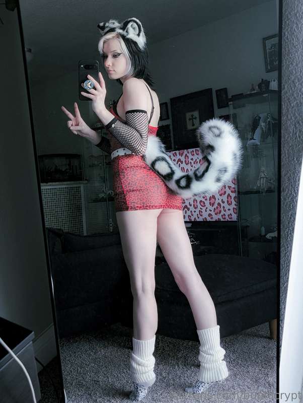 bunnicrypt image #5
