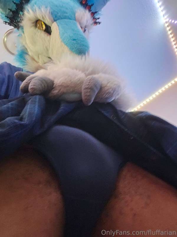 fluffarian