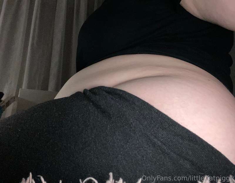 little.fatpiggy