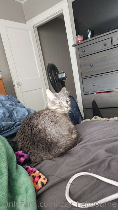 😻Saskue Spotlight!😻