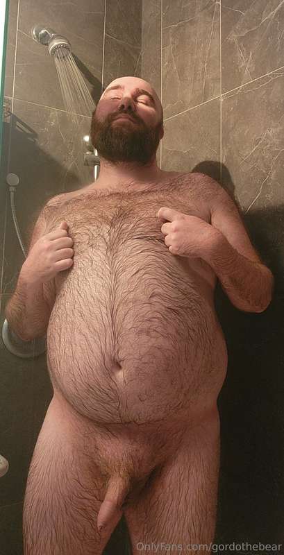 gordothebear