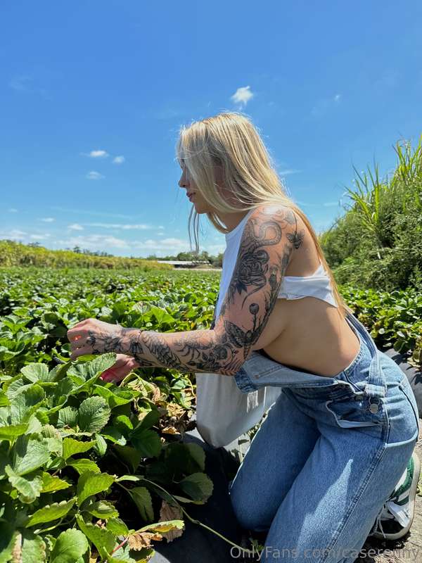 Strawberry fields forever 🍓🧺🌾