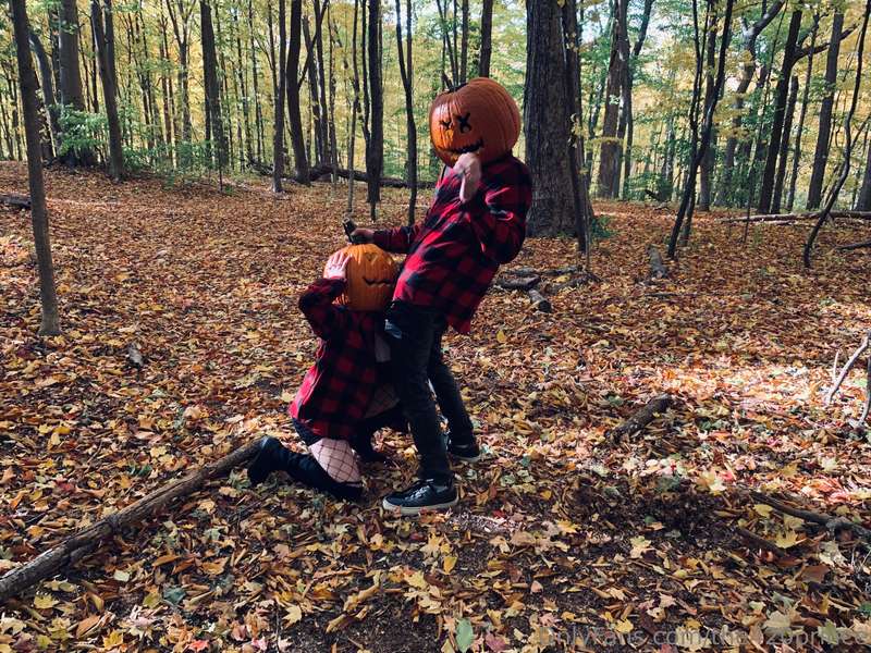 media