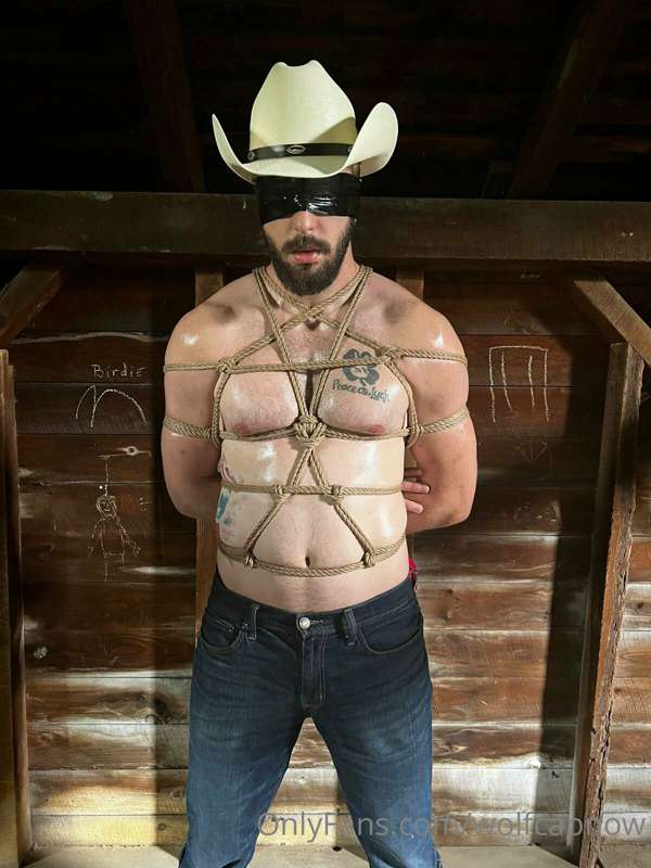 wolfcapnow image #18