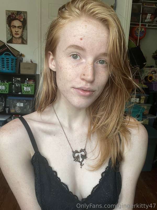 gingerkitty47 image #2