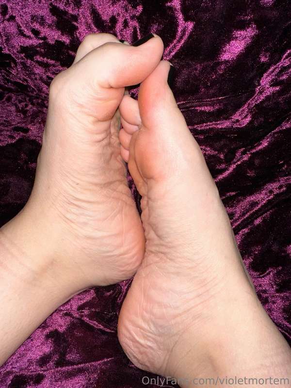 violetmortem image #1