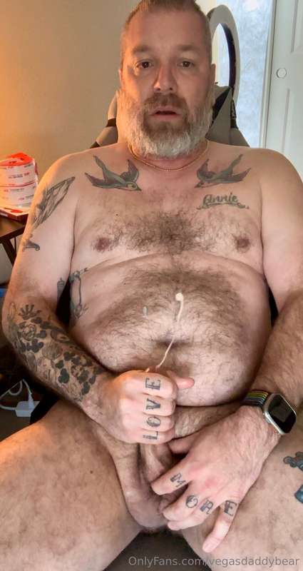 vegasdaddybear image #1