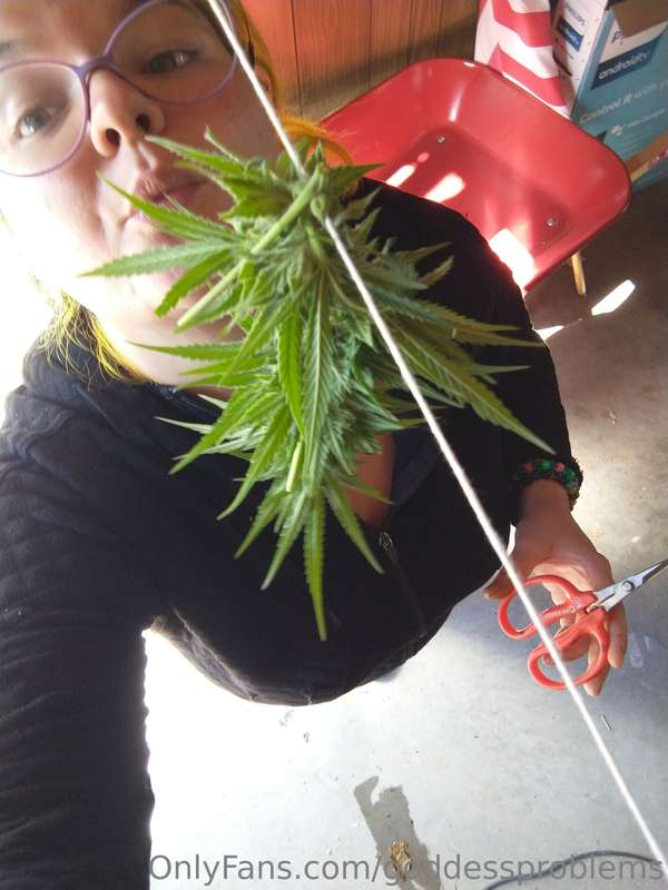 kiss me under the weed nugget lolol