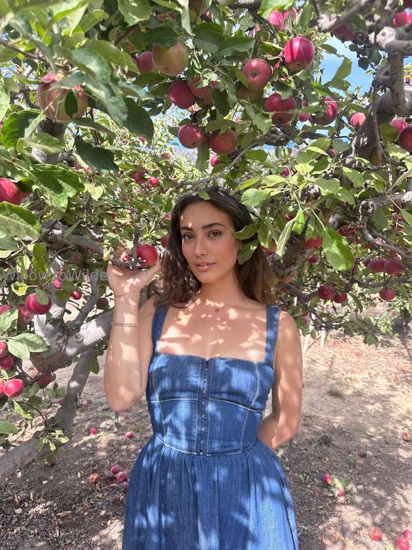 media