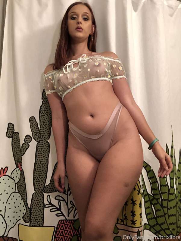 brixlibra image #1