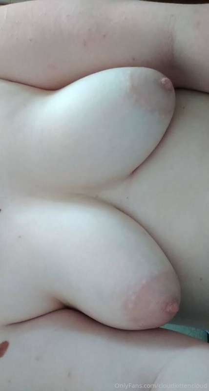 cloudkittencloud image #5