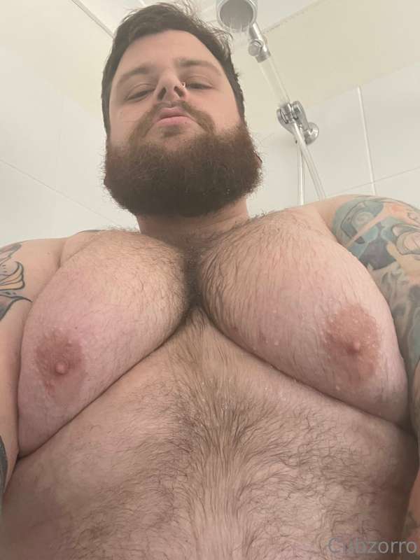 cubzorro