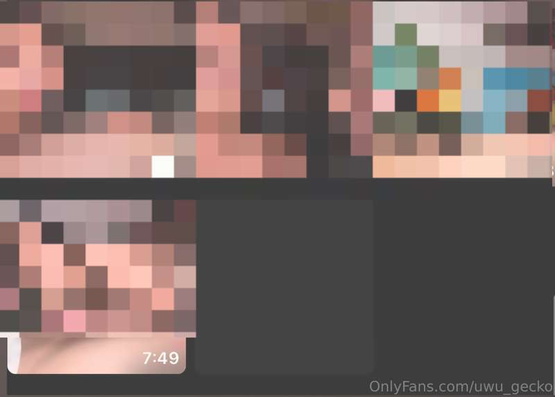 uwu_gecko