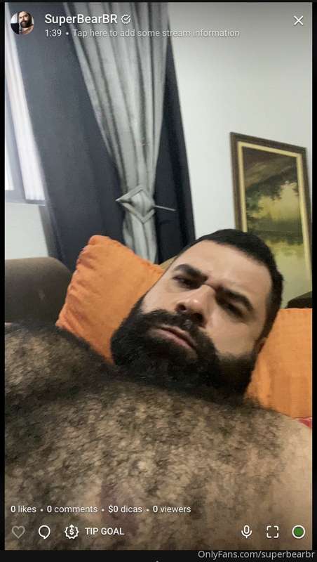 bearwoofbr