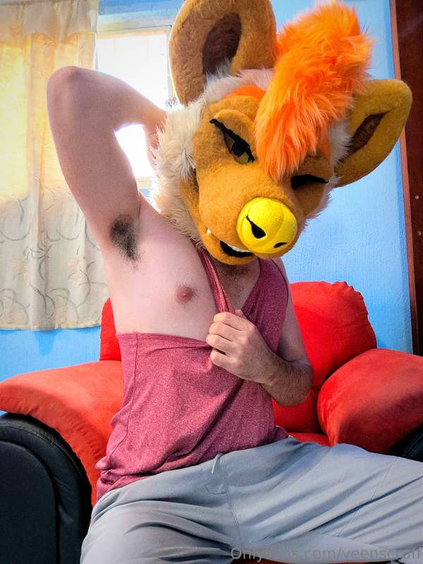 media
