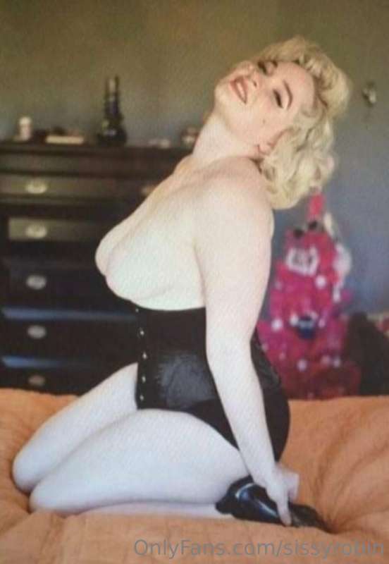 sissyrobin