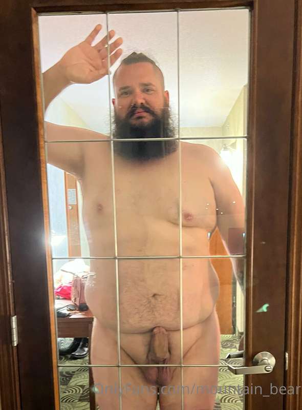 mountain_bear